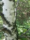 thumbs/040716_Menhiry 035.jpg